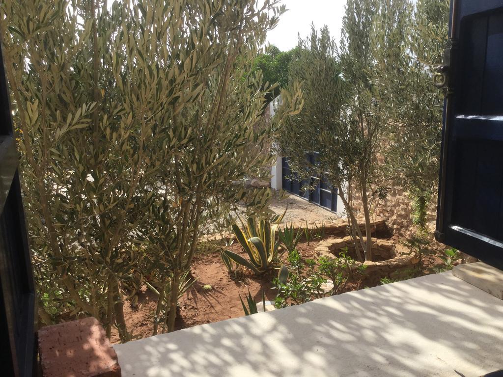 Dar Albatros Guest House Sidi Kaouki Exterior foto